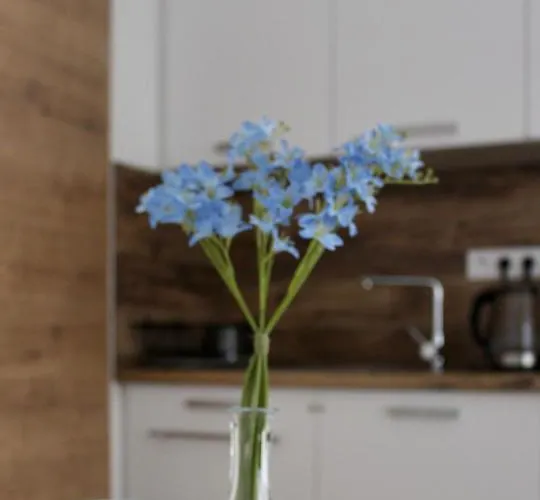 Betree Διαμέρισμα *